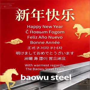 baowu happy new year